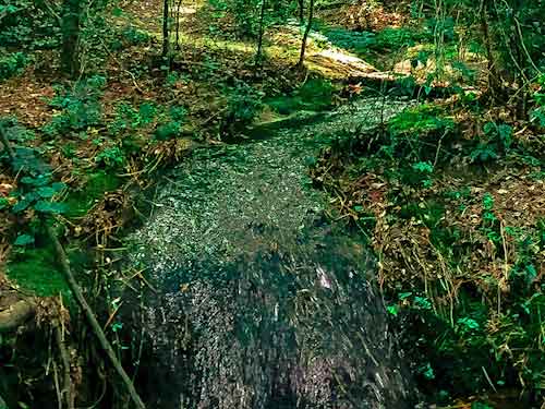 Water Fall in Forest - Flowing Water Stock Photo