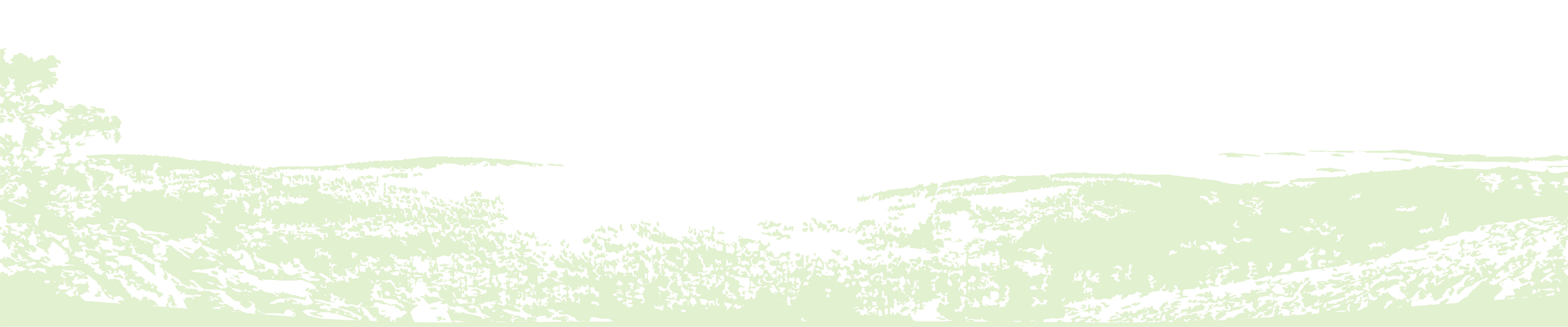 Landing page vector. Adobe Illustrator Image traced for Johns-Book
