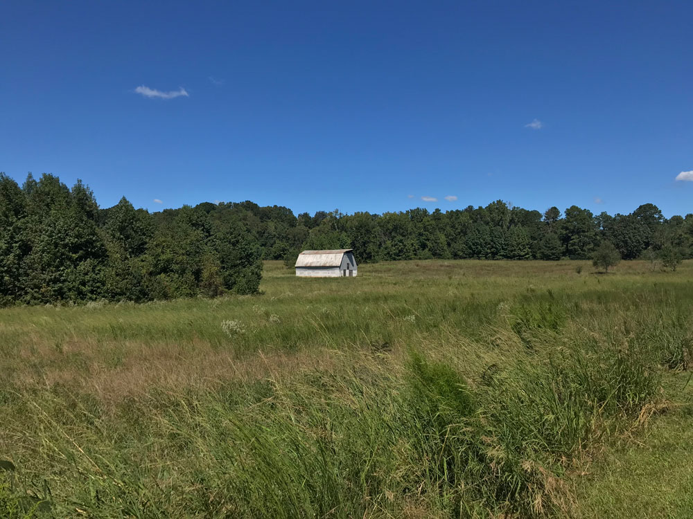 Download Barn in Field - Open Field Stock Photo Download - Design Preview