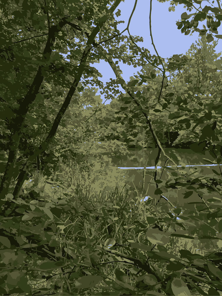 Download Brush Pond - Flowing Water Stock Photo Download - Blank Preview