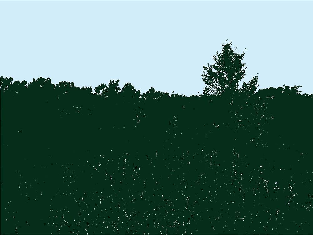 Download Field Photo - Open Field Stock Photo Download - Blank Preview