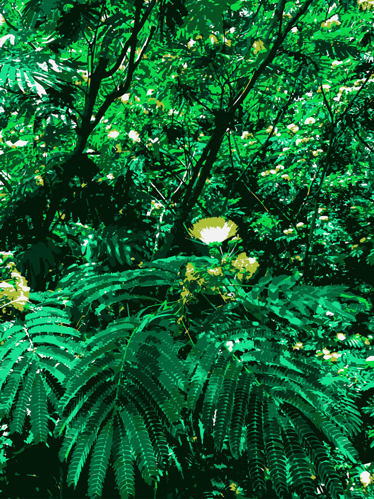 Download Focal Flower in a World of Green - Wildflower Stock Photo Download - Blank Preview