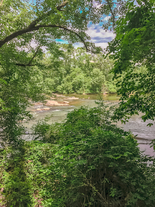 Download River View - Flowing Water Stock Photo Download - Design Preview
