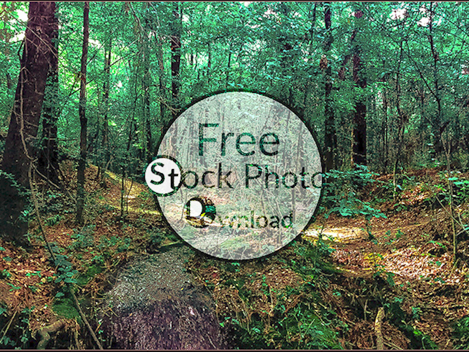 Download Spring Flow - Flowing Water Stock Photo Download - Brand Preview