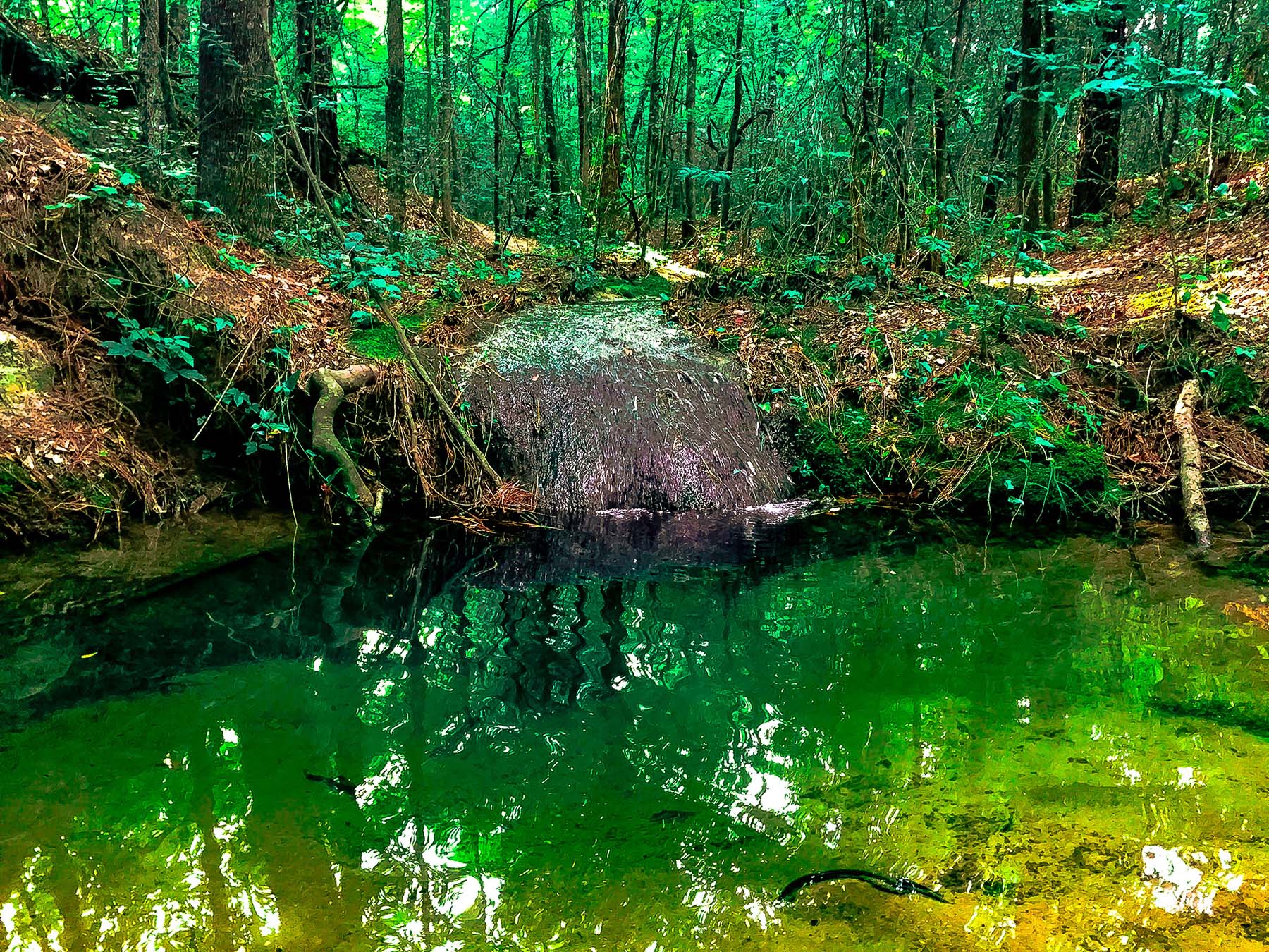 Download Spring Green - Flowing Water Stock Photo Download - Design Preview