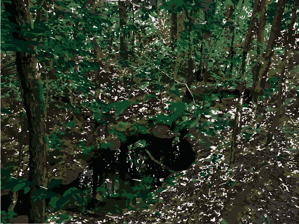 Download Spring in Forest - Flowing Water Stock Photo Download - Blank Preview