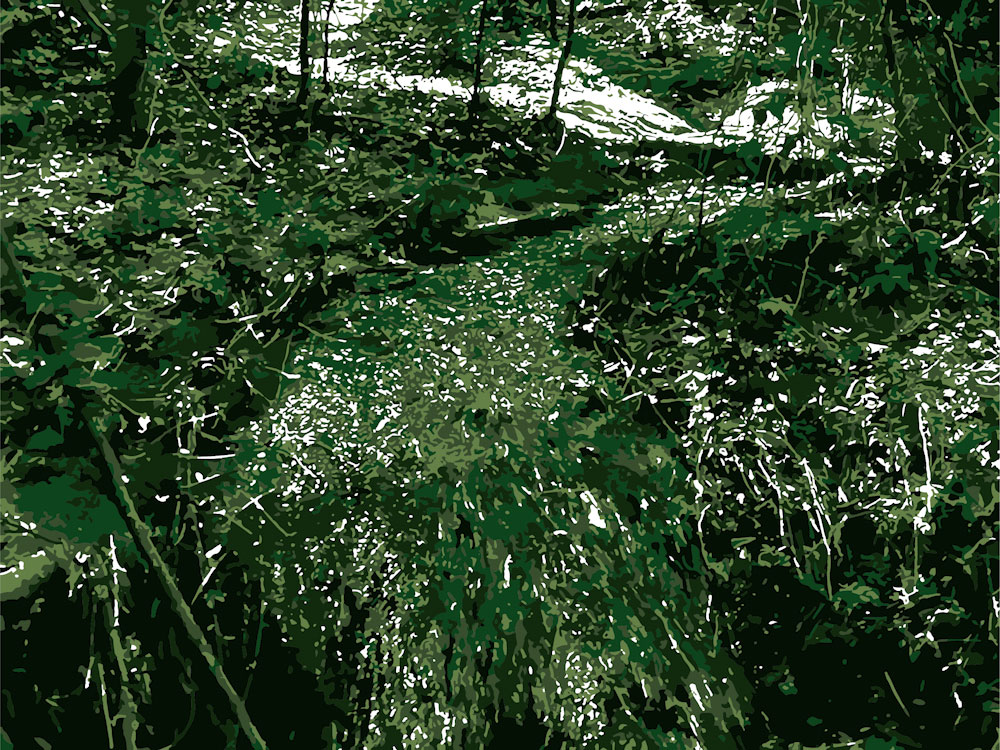 Download Waterfall in Forest - Flowing Water Stock Photo Download - Blank Preview